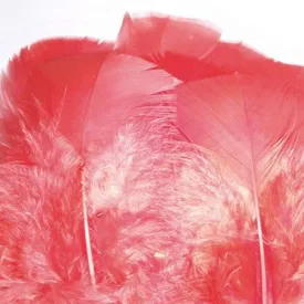 baetis-substitute-fjer