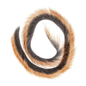 baetis-pine-squirrel-zonkres-fjer