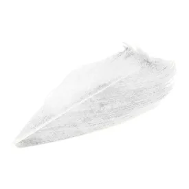baetis-condor-fjer