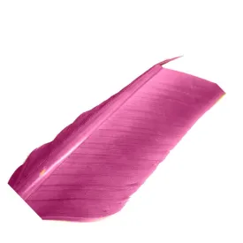 baetis-condor-fjer