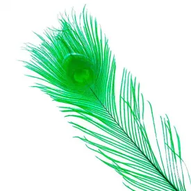 baetis-pluma-dyed-peacock