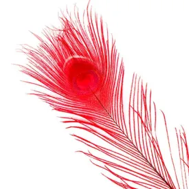 baetis-pluma-dyed-peacock