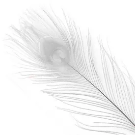 baetis-dyed-peacock-feather