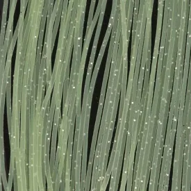 baetis-gambe-silicone