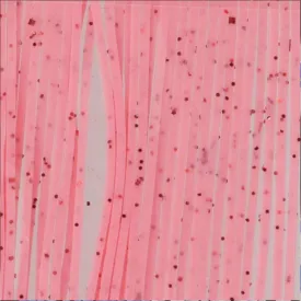 baetis-gambe-silicone