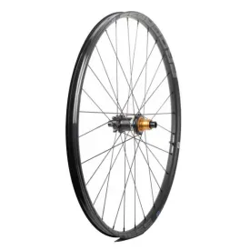 progress-mtx-nitro-29-mtb-hinterrad