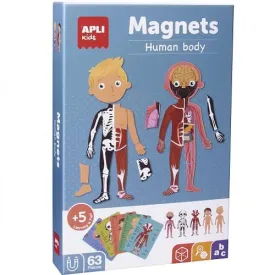 apli-magnetiskt-set-manniskokroppen