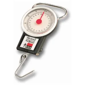 dam-22kg-模拟刻度