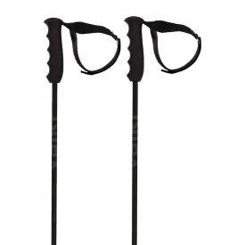 volkl-speedstick-杖