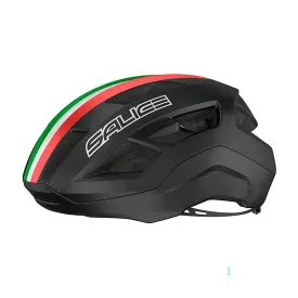 salice-casco-vento