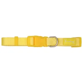 freedog-collier-de-chien-nylon-basic