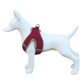 freedog-arnes-per-a-gossos-soft