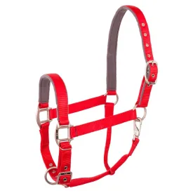 br-event-adjustable-grimmor