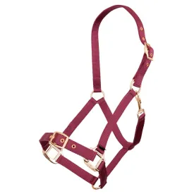 premiere-pp-adjustable-halfter