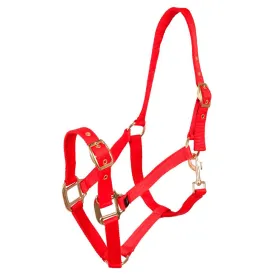 premiere-licol-pp-adjustable