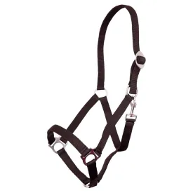 premiere-standard-halfter