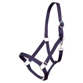 premiere-licol-standard