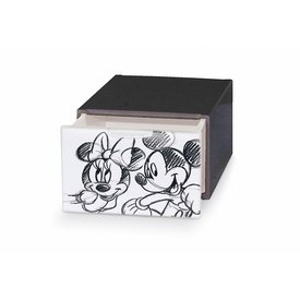Domo pack living Cassetto Di Plastica Mickey Minnie 15,5x21x10,5 Cm