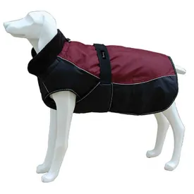 freedog-north-pole-model-c-개-재킷
