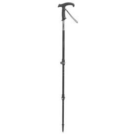 tsl-outdoor-pp-jack-pole-1-unit