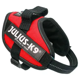 julius-k-9-harnais-pour-chien-idc-mini