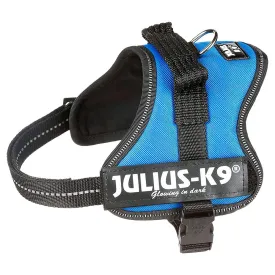 julius-k-9-power-mini-狗背带
