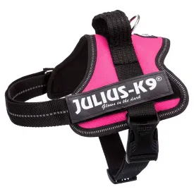 julius-k-9-power-mini-狗背带