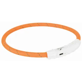 trixie-collar-per-a-gos-usb-flash-light