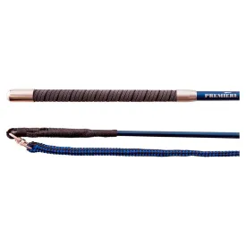 premiere-callisto-채찍