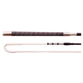 premiere-moon-채찍