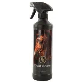 br-palsglans-spray-500ml