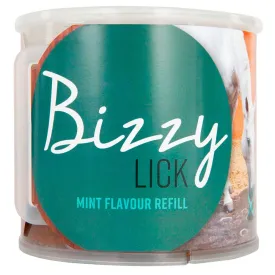 bizzy-muntsteenzout-1kg
