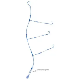 ragot-spiral-siima