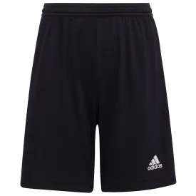 adidas-entrada-22-shorts