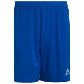 adidas-entrada-22-shortsit