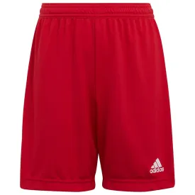 adidas-short-entrada-22
