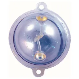 tortue-perspex-물찌