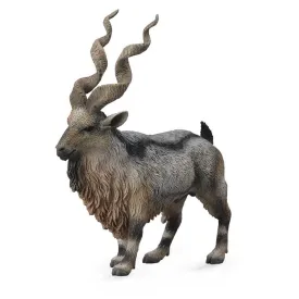 collecta-figura-important