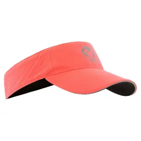 arch-max-visera