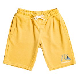Quiksilver Easy Day Youth Sweat Shorts