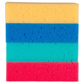 premiere-744911-sponge-assorted