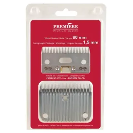 premiere-falco-kite-날