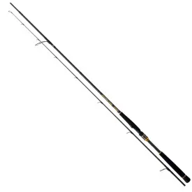 daiwa-morethan-branzino-ags-spinning-rod