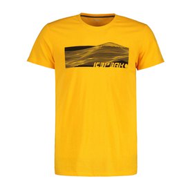Icepeak Herren Freizeit-Outdoor-Wander-T-Shirt BAXTER gelb 