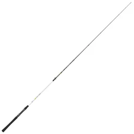 renzo-valdieri-spot-bass-spinning-rod