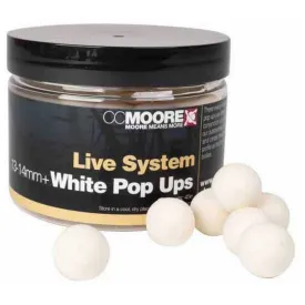 ccmoore-live-system-pop-ups-鲤鱼饵