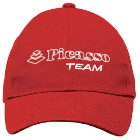 picasso-american-team-pet
