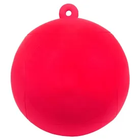 premiere-pferd-spiel-ball