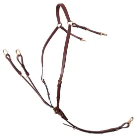 br-pechopetral-rayleigh