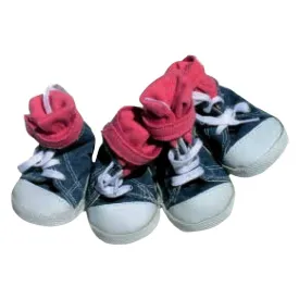 freedog-all-star-sneaker
